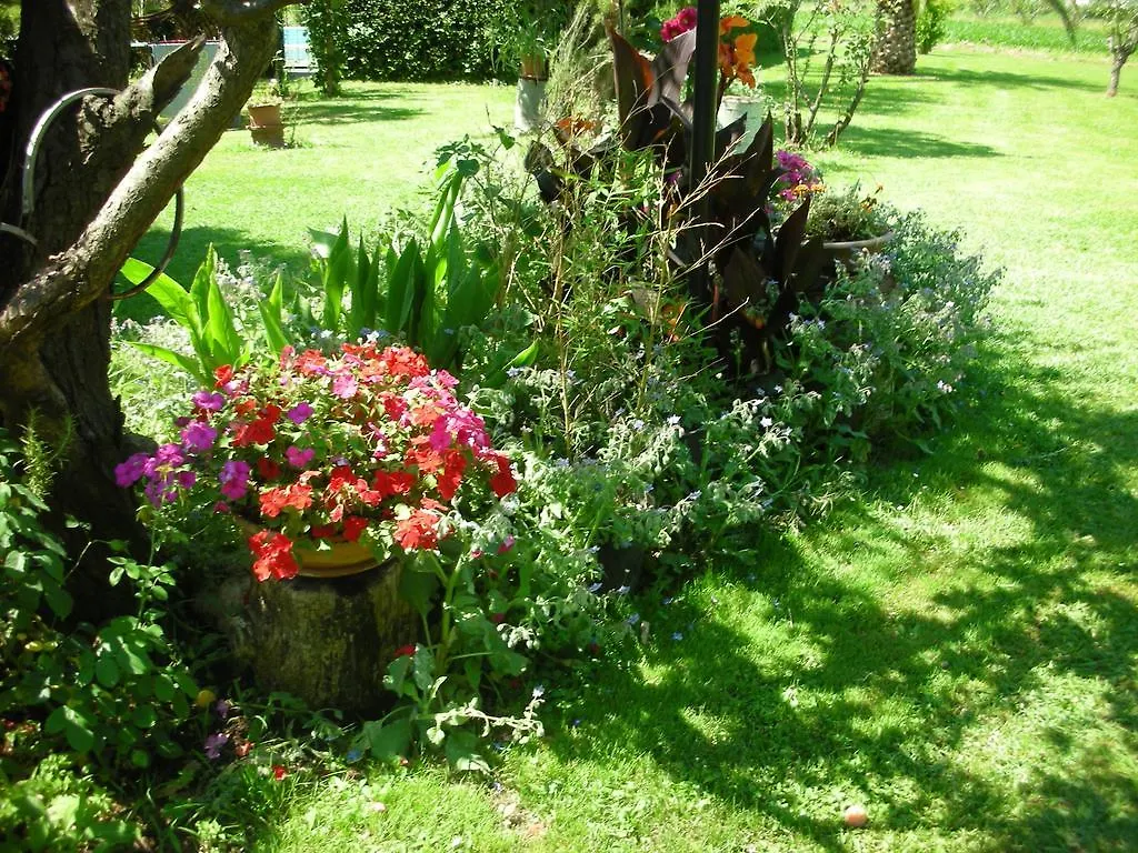 B&B Da Pio Pietrasanta Bed & Breakfast
