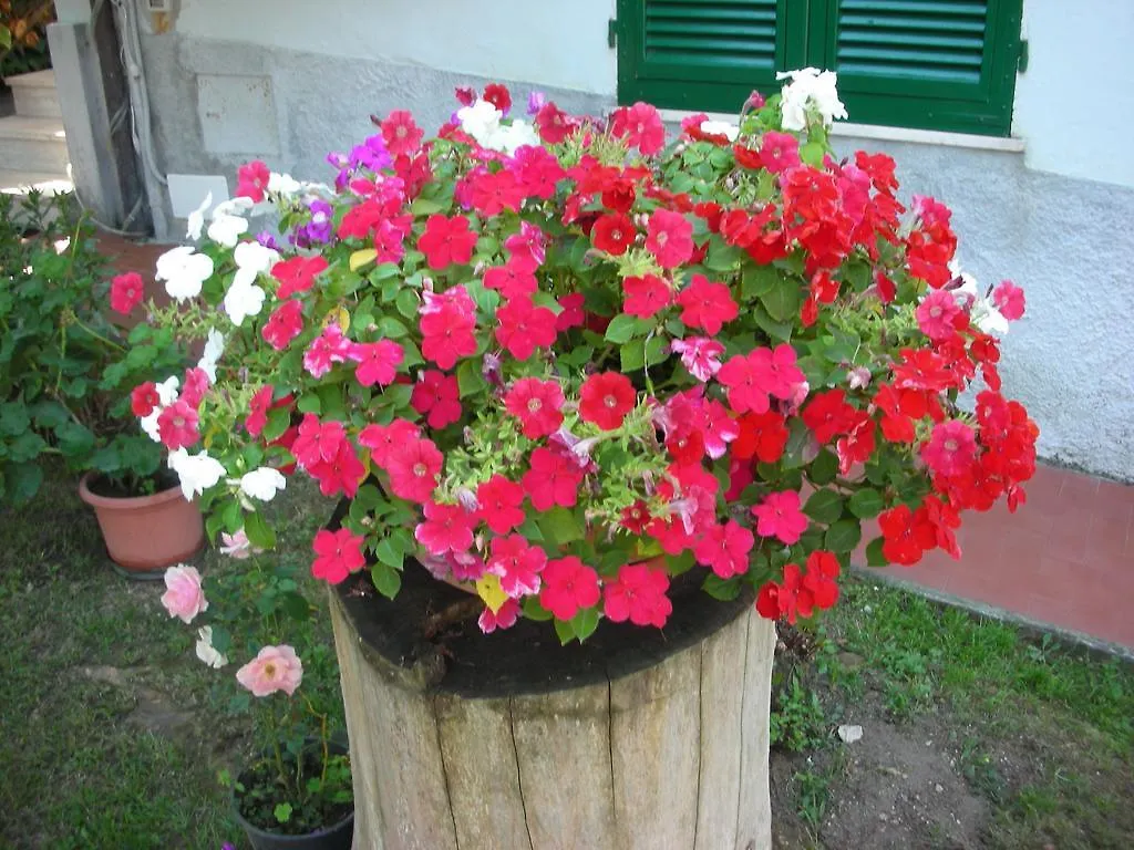 B&B Da Pio Pietrasanta 3*,  Italië