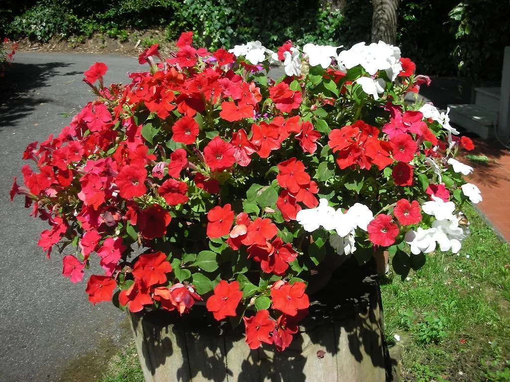 B&B Da Pio Pietrasanta Bed & Breakfast