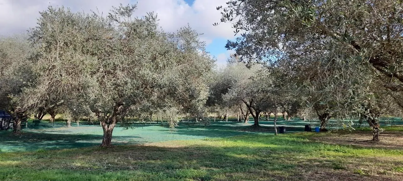 B&B Da Pio Pietrasanta Italië