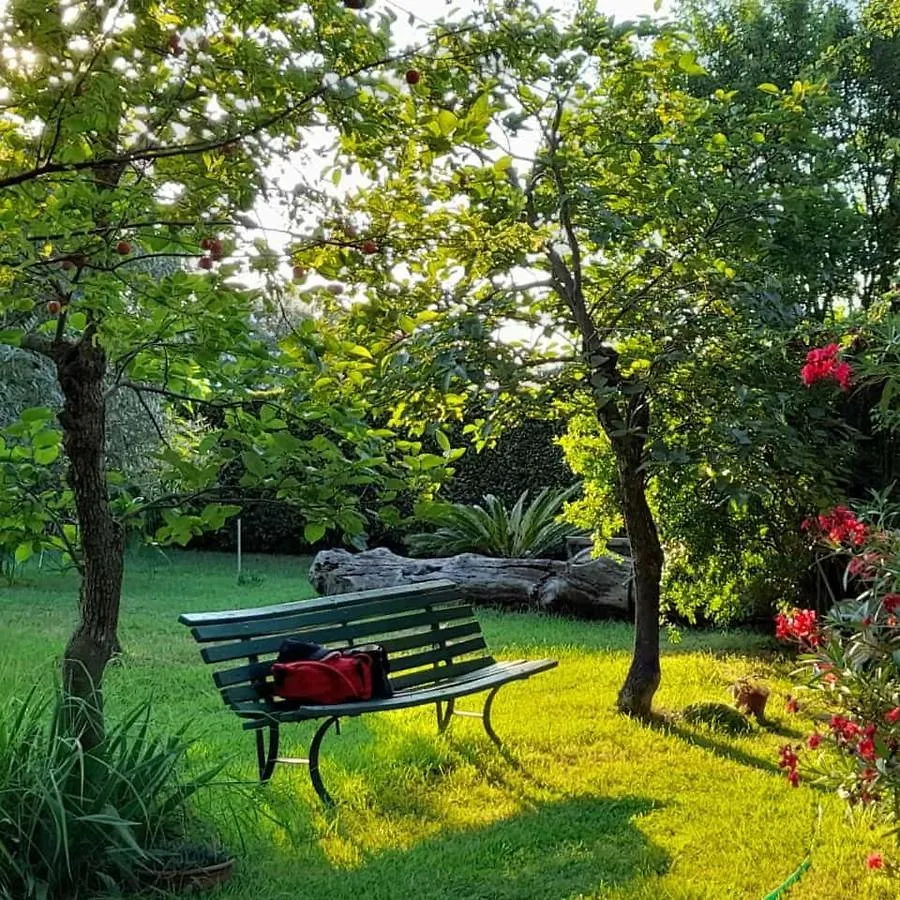 B&B Da Pio Pietrasanta