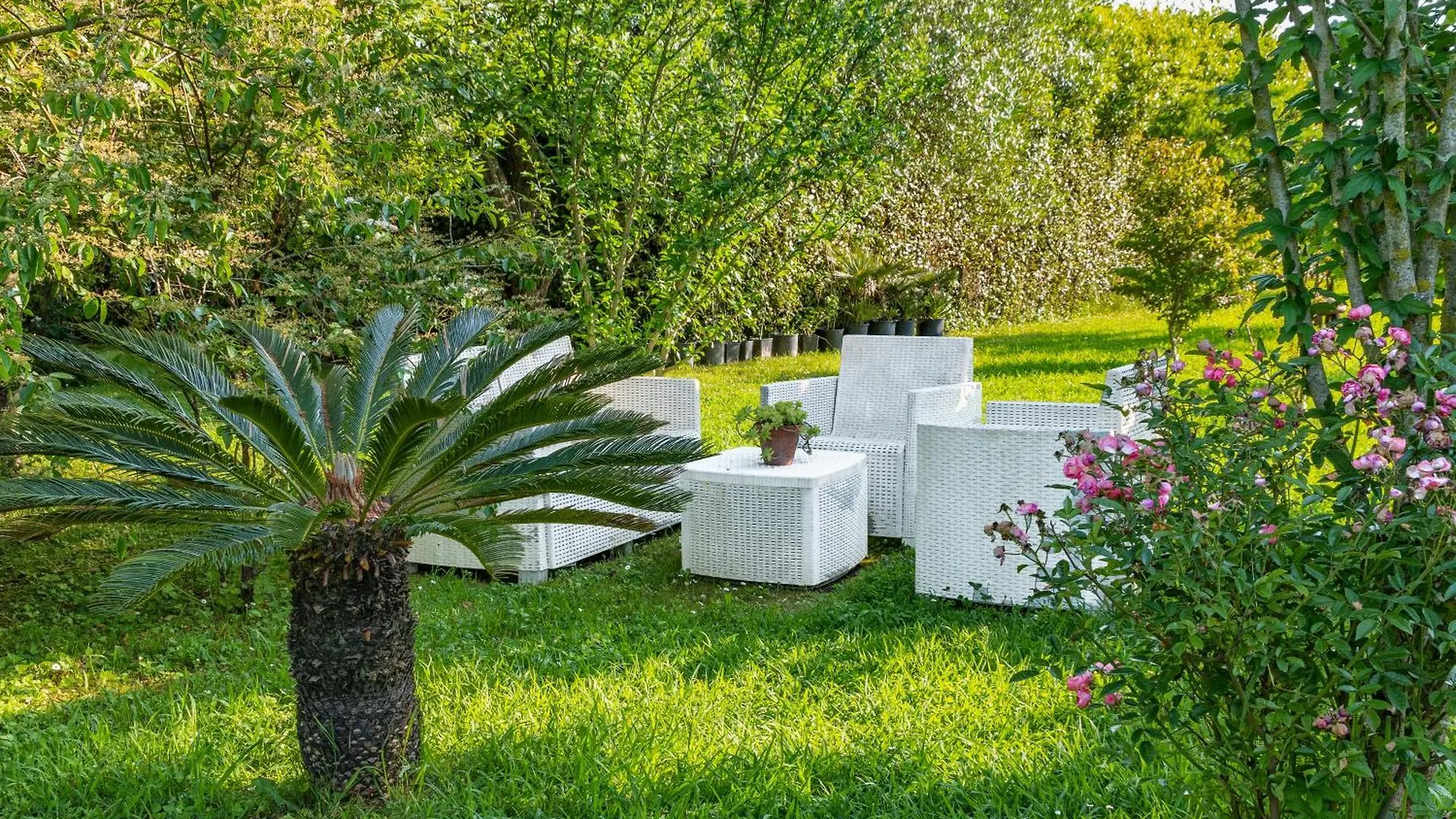 B&B Da Pio Pietrasanta Italië