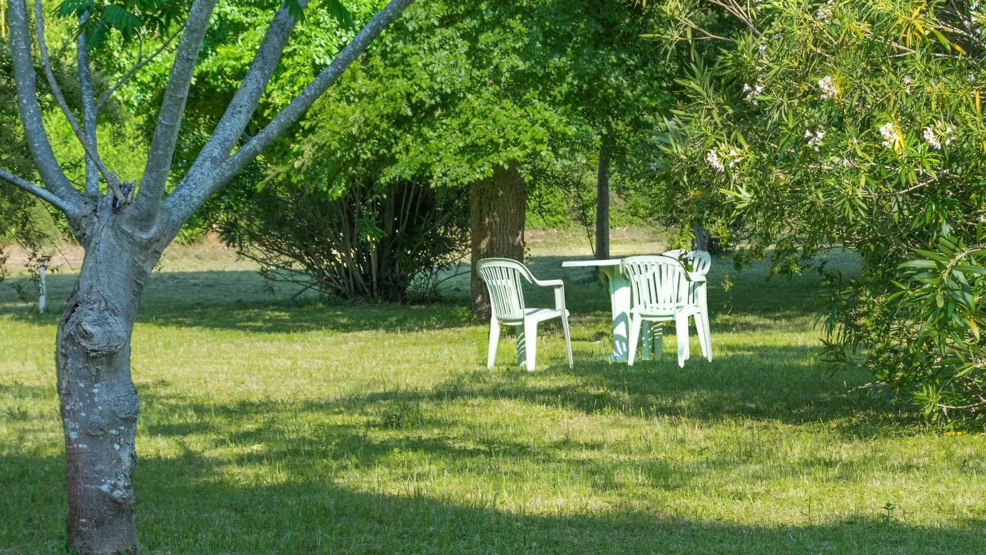 *** Bed & Breakfast B&B Da Pio Pietrasanta Italië