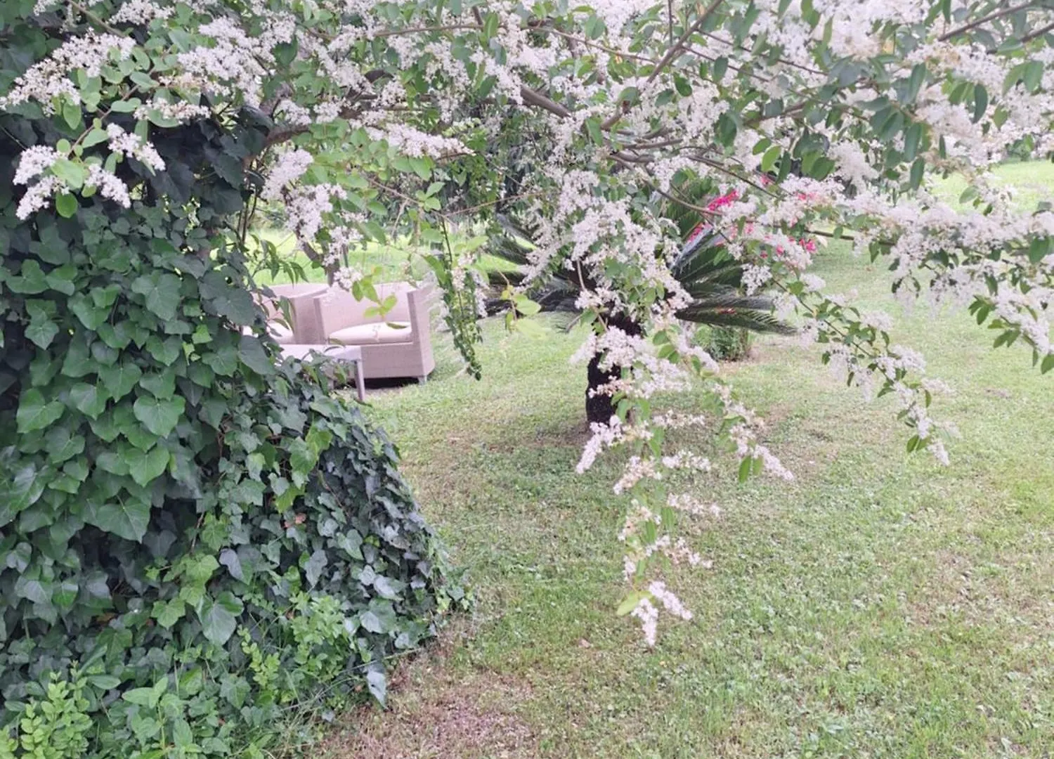 B&B Da Pio Pietrasanta Bed & Breakfast