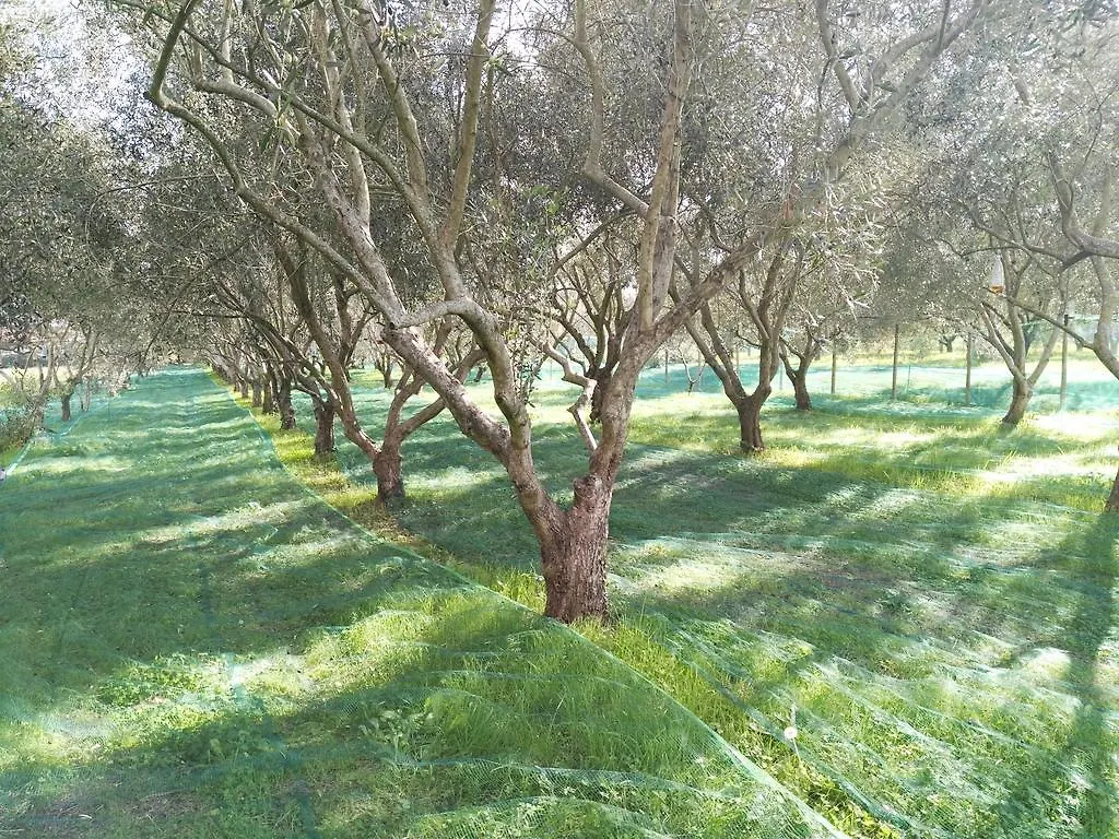B&B Da Pio Pietrasanta Bed & Breakfast